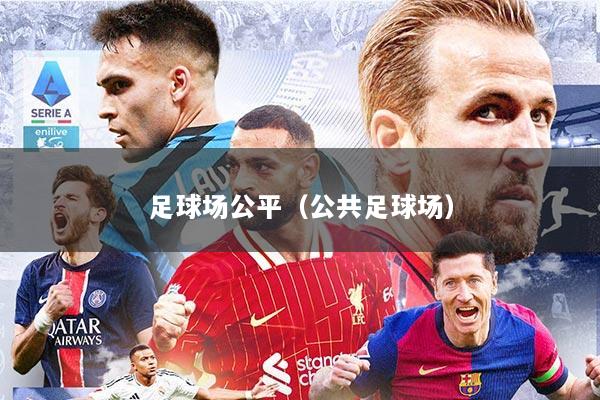 足球场公平（公共足球场）