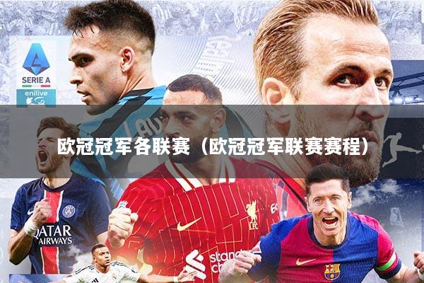 欧冠冠军各联赛（欧冠冠军联赛赛程）